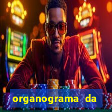 organograma da cacau show